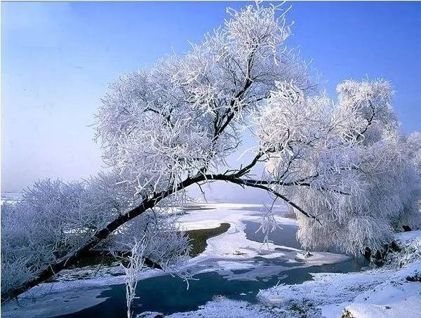 吉林经常发生台风吗？台风在哪些城市发生的较频繁？