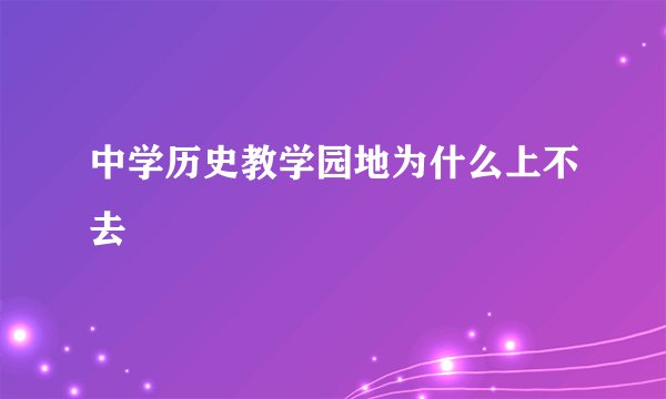 中学历史教学园地为什么上不去