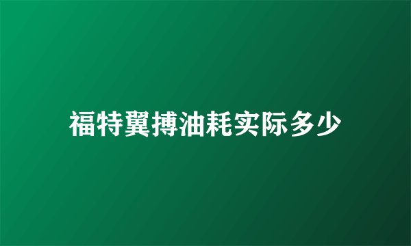 福特翼搏油耗实际多少