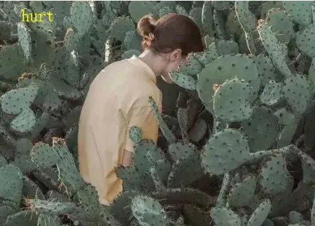 伤害英文是什么意思呢