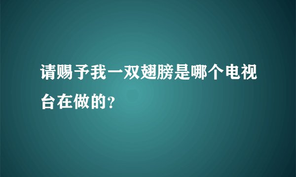 请赐予我一双翅膀是哪个电视台在做的？