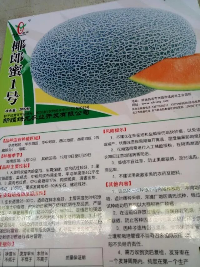 哈密瓜适合中国什么地方种植