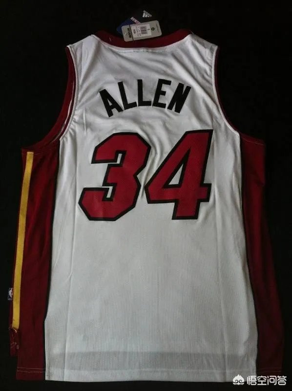 雷阿伦在哪个球队退役