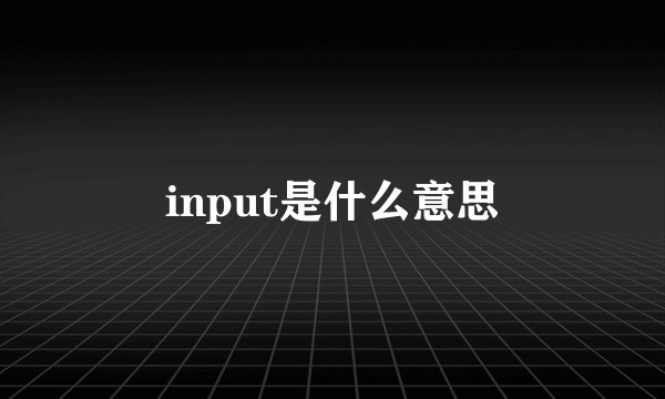 input是什么意思