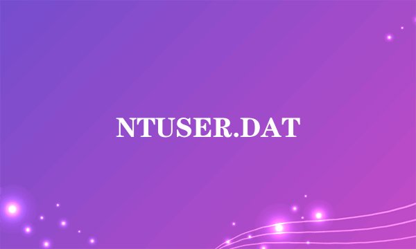 NTUSER.DAT