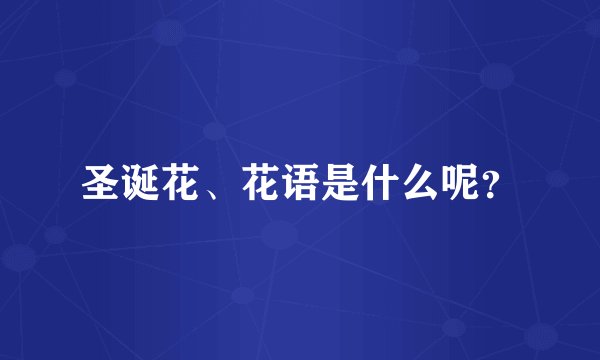 圣诞花、花语是什么呢？