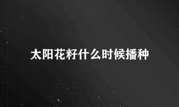 太阳花籽什么时候播种