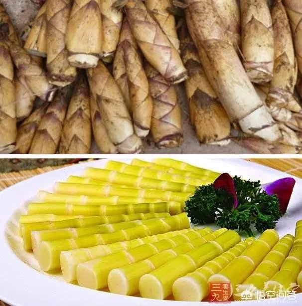 苦竹笋有什么功效?