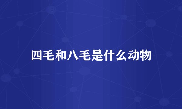 四毛和八毛是什么动物