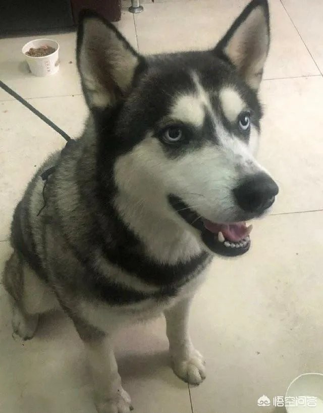 北京哪家温泉比较好？