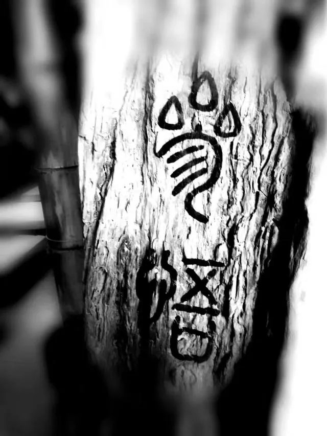 理科热门专业有哪些？