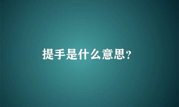 提手是什么意思？