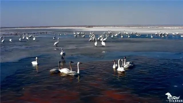 鄂尔多斯哪个草原最值得去