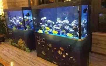 2023年农历九月初七是黄道吉日吗?