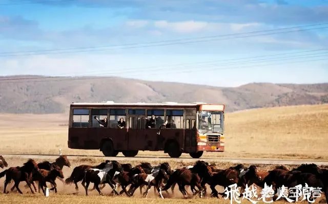 第6代导演与新生代导演