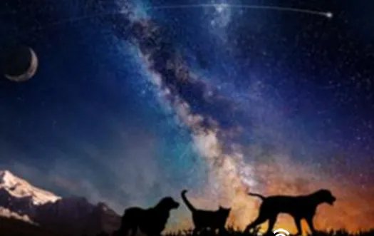 美公司推出的太空葬礼是什么?