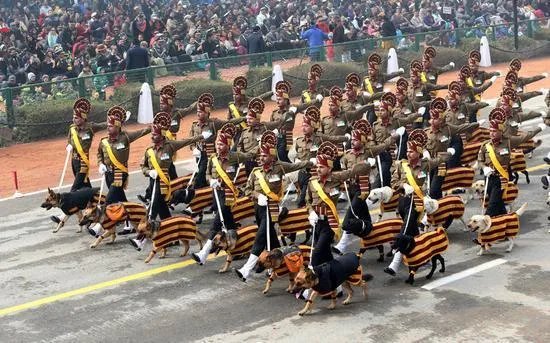 为什么印度阅兵那么多乱七八糟的