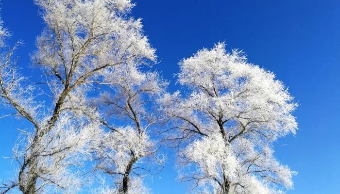 冬至是数九第一天吗