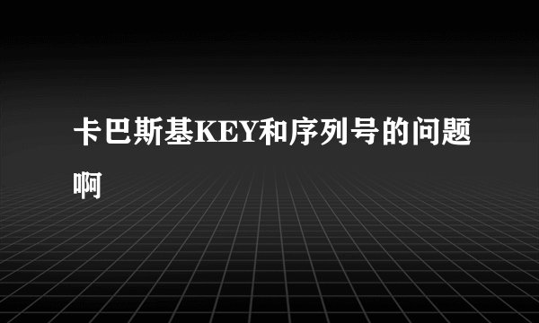 卡巴斯基KEY和序列号的问题啊