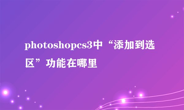 photoshopcs3中“添加到选区”功能在哪里