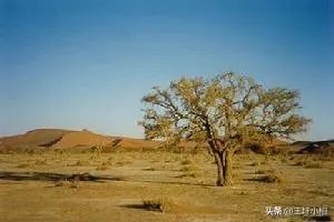 今年山东为何如此大旱？