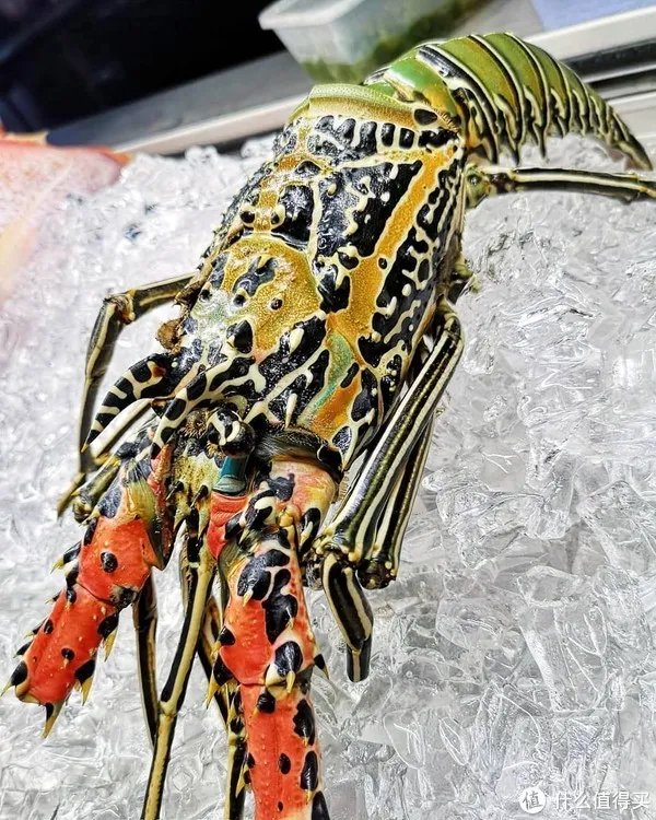 龙虾怎么做好吃