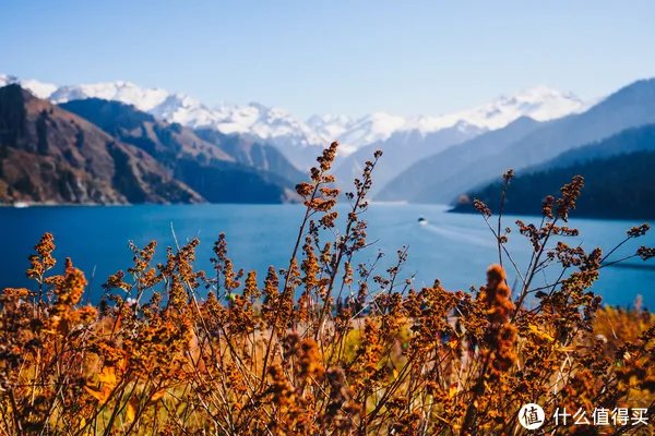 漫谈M43 篇一：M43画幅相机？这个相机体系有什么优劣？有图有真相！