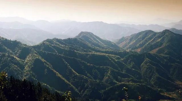 福建7地入选“中国森林氧吧”，分别是哪7个？