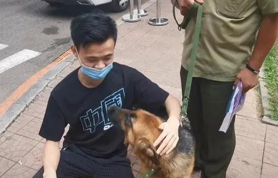 54只警犬拍卖半天被抢光？