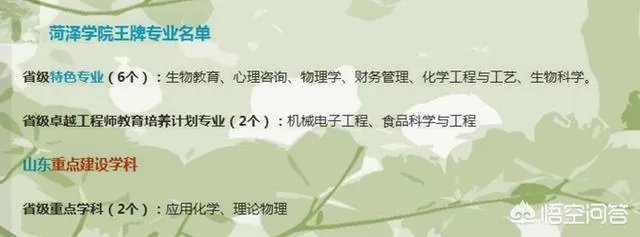 山东省的荷泽学院是一所怎样的大学?实力如何?