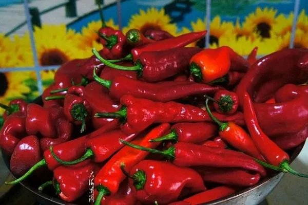 怎么做自制辣椒酱的做法