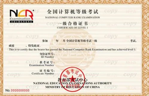 计算机能力怎么填