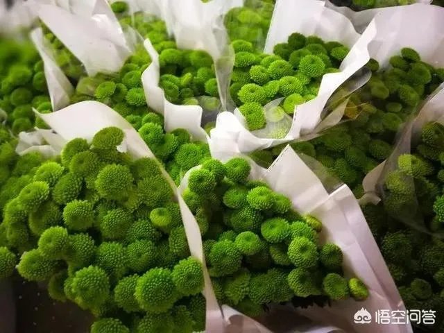 云南有哪些大的鲜花市场？