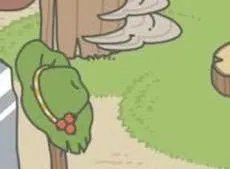 《旅行青蛙》这么可爱一定是男孩子！我家的蛙性别确认