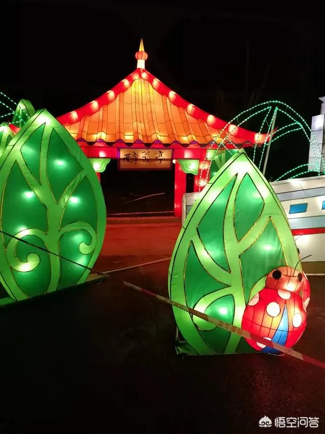 死牛肉能不能吃，如何区分死牛肉？