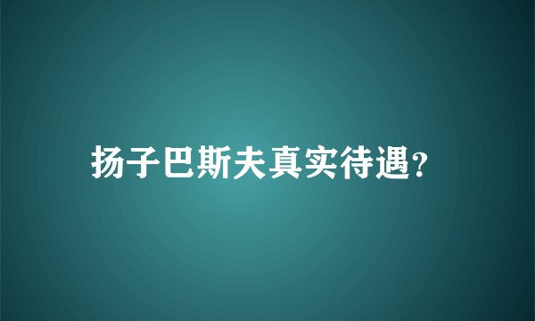 扬子巴斯夫真实待遇？