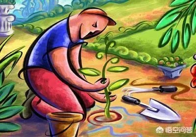 有哪些比较好的农业方面的网站？