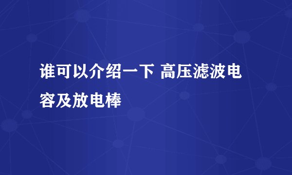谁可以介绍一下 高压滤波电容及放电棒