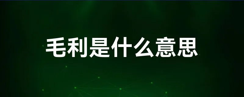 毛利是什么意思