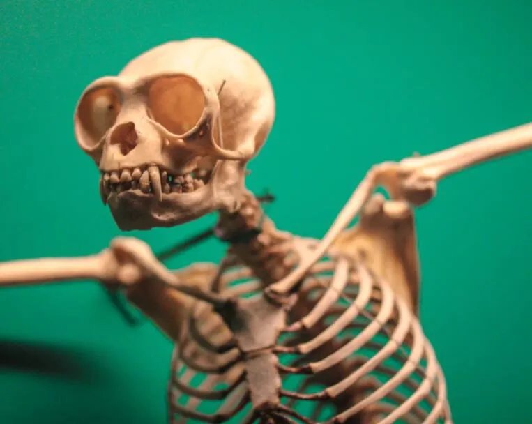 做梦梦见好多死人尸体是什么意思 做梦梦见好多死人尸体预兆什么