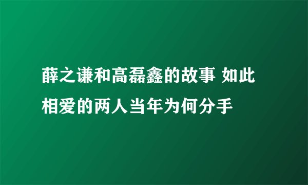 薛之谦和高磊鑫的故事 如此相爱的两人当年为何分手