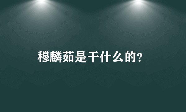 穆麟茹是干什么的？
