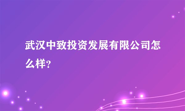 武汉中致投资发展有限公司怎么样？