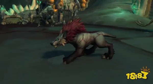 魔兽世界猎人带什么宝宝 猎人必带宝宝推荐