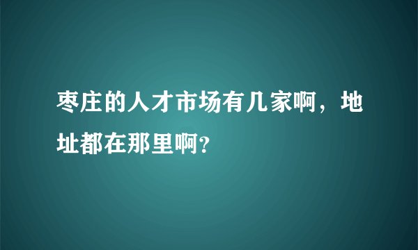 枣庄的人才市场有几家啊，地址都在那里啊？