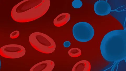 缺铁性贫血如何补