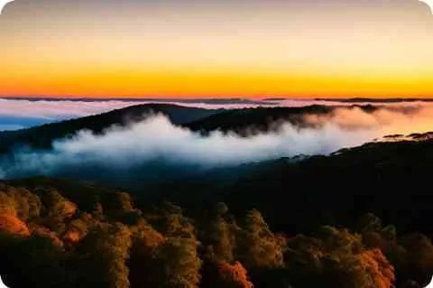 迦南诗歌基督教歌曲