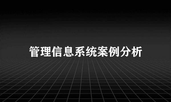 管理信息系统案例分析
