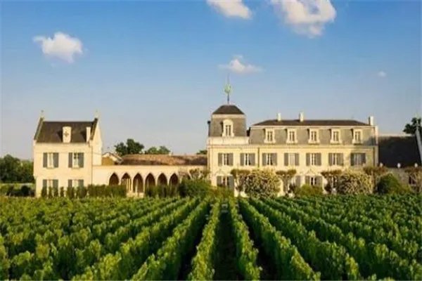 波尔多有哪些顶级的酒庄?波尔多酒庄排名