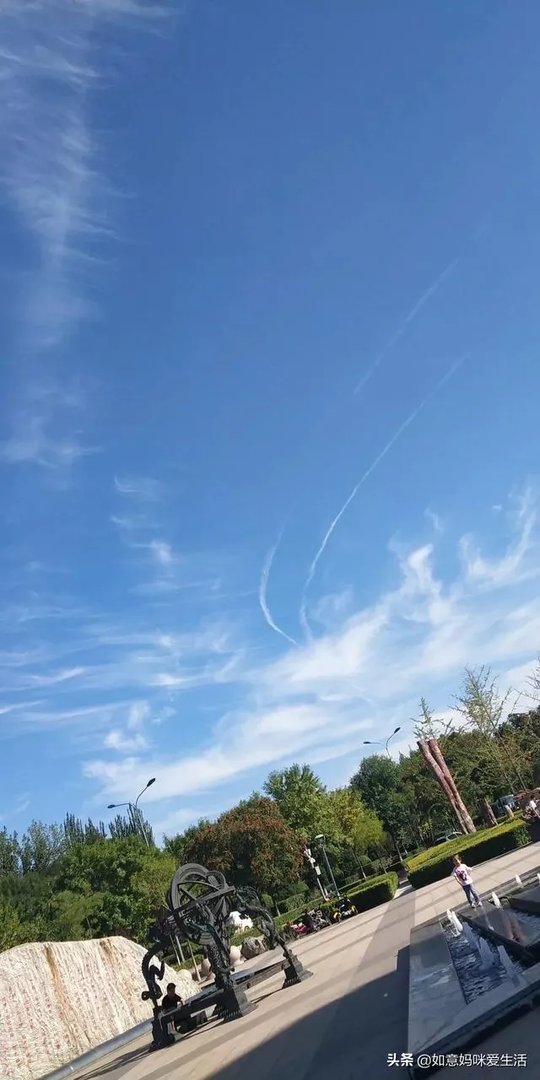 电视剧《一树桃花开》，相比盛开，为啥狄英最后能治服罗耀辉母？